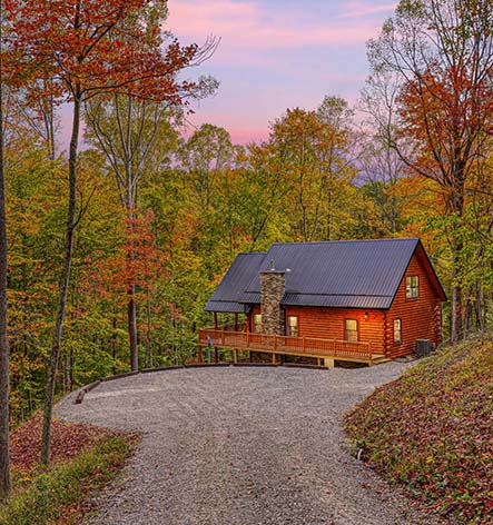 cabin view with firepit