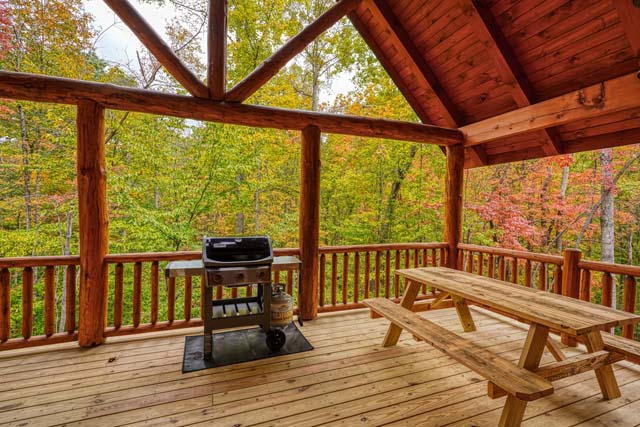 deck with grill and picnic table